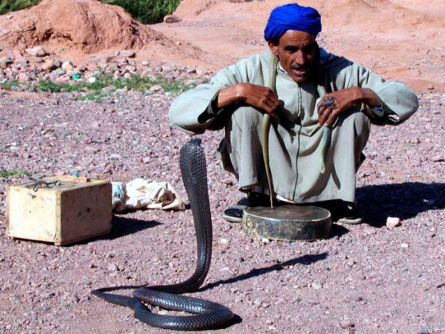 Encantador de serpentes