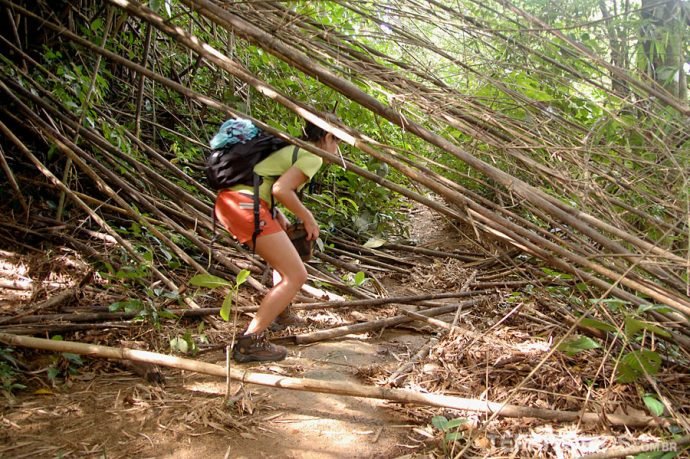Caminho difícil até Caxadaço