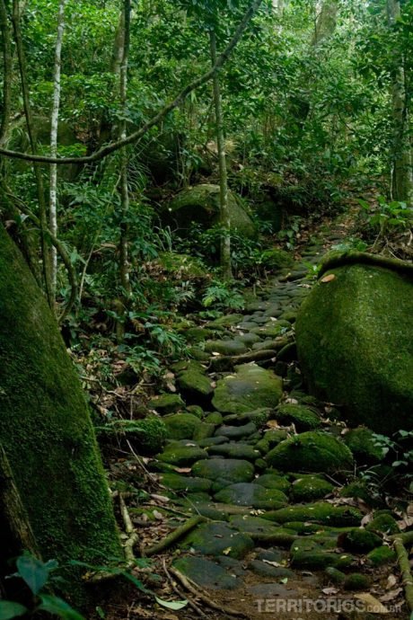 Trilha alternativa para Lopes Mendes Trilha alternativa para Lopes Mendes