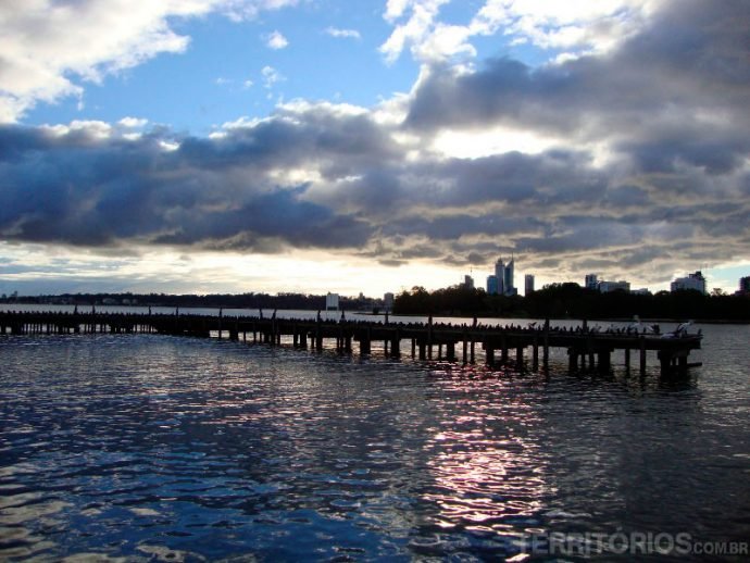 Rio Swan