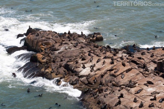Praia inóspita para humanos não para os animais