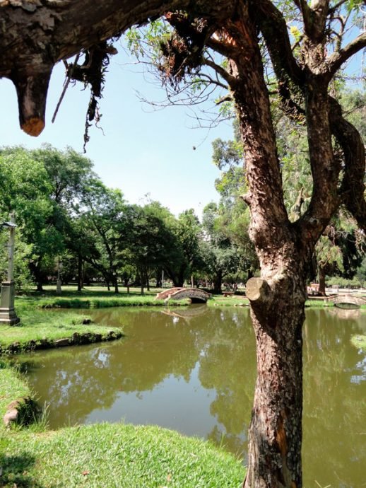 Parque da Redenção Parque da Redenção