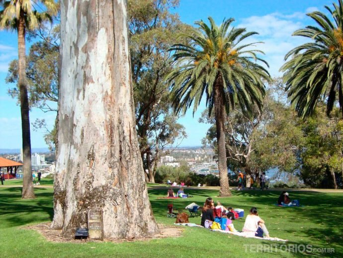 Kings Park