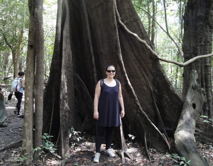 Do lados das árvores gigantes