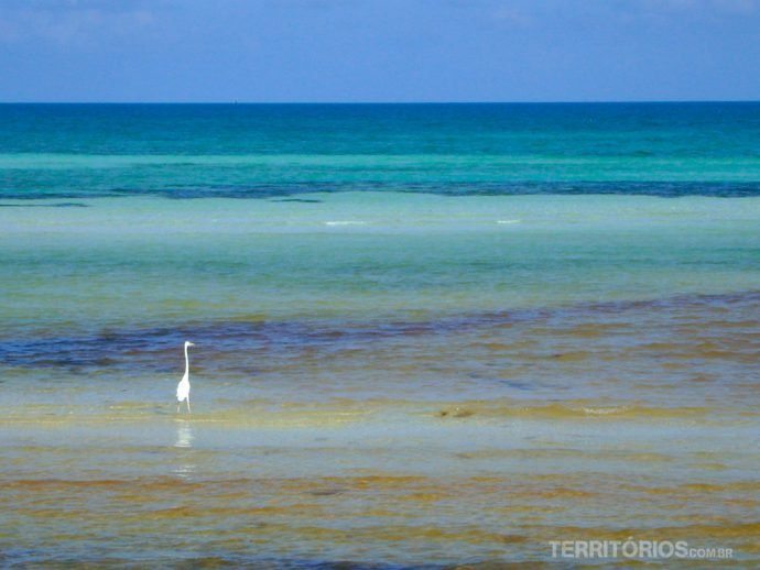 Mar caribenho