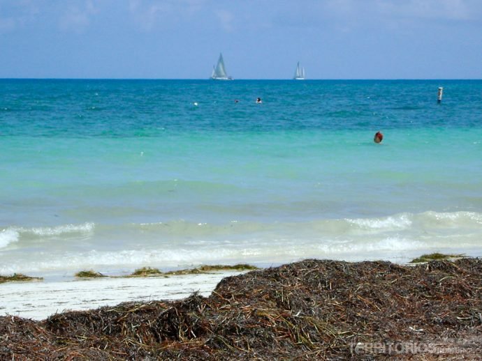 Mar do Caribe de novo