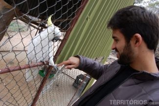 Leandro interagindo com cacatoa Leandro interagindo com cacatoa