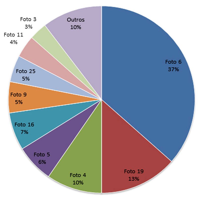 Gráfico do resultado das votações Gráfico do resultado das votações