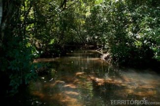Passeio de barco muito perto das Cataratas Passeio de barco muito perto das Cataratas