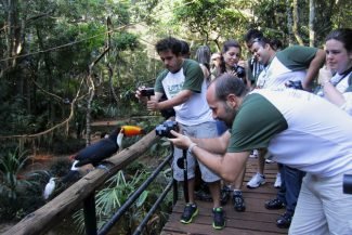 O tucano é o astro do Parque das Aves O tucano é o astro do Parque das Aves