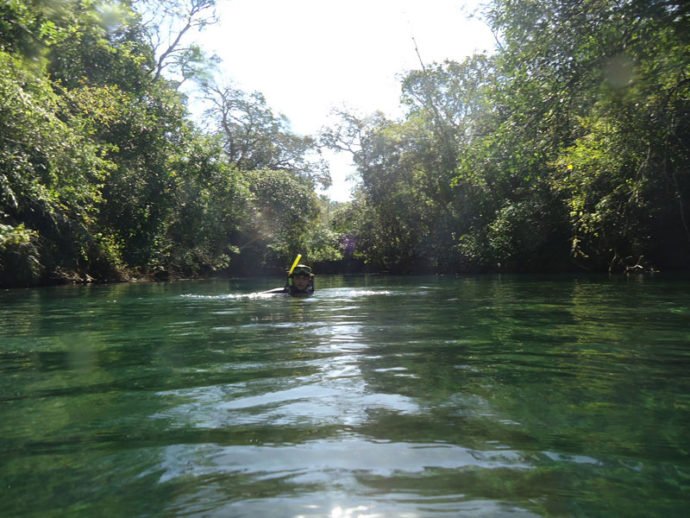 Mergulhando com snorkel no Recanto Ecológico
