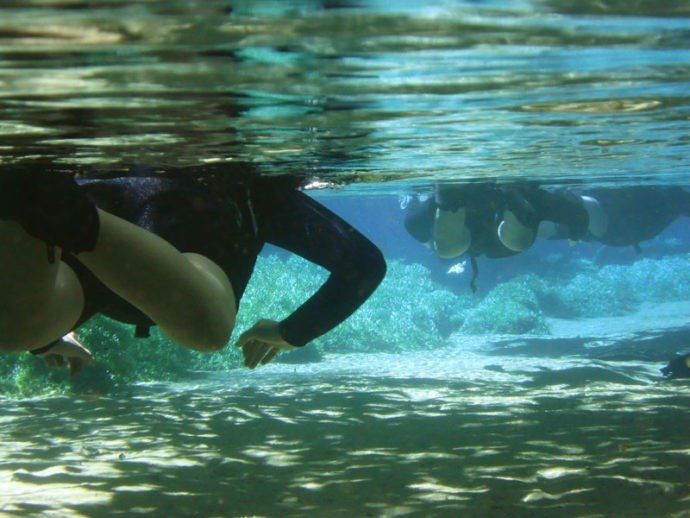 Mergulhando em águas transparentes no Rio da Prata