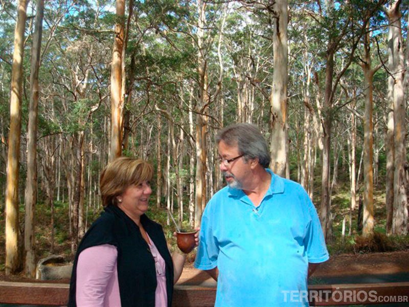 Clarice e Jair trouxeram a erva mate do Brasil