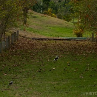 ecoresort no Interior de MInas Gerais