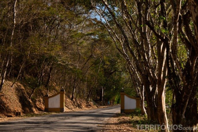 A estrada