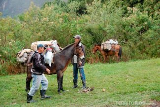 Mochilas levadas por burros Mochilas levadas por burros