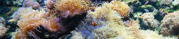 O fundo do mar
