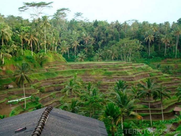 Terraços de arroz