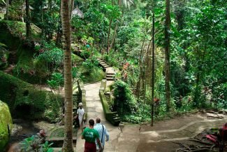 Trilha na floresta dos macacos Trilha na Sagrada Floresta dos Macacos