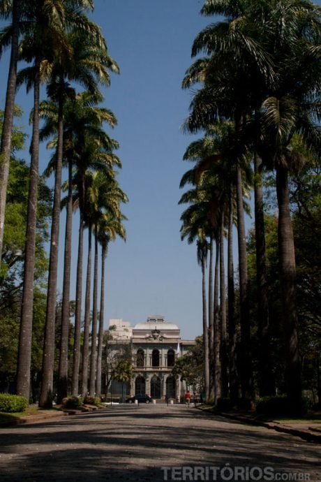 Palmeiras imperiais na Praça da Liberdade Palmeiras imperiais na Praça da Liberdade