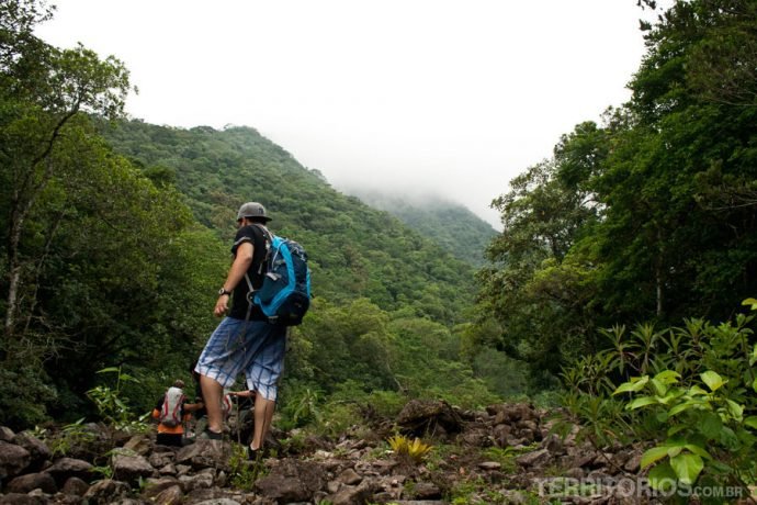 Rodeados por verde e clima úmido