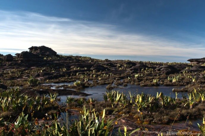 o topo do Monte Roraima