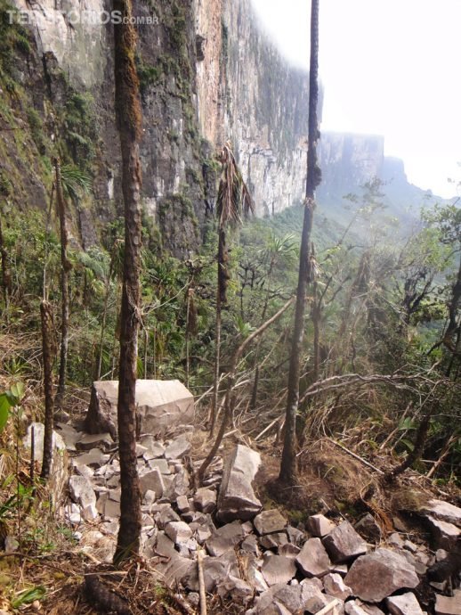 Área atingida por uma tempestade meses antes Área atingida por uma tempestade meses antes