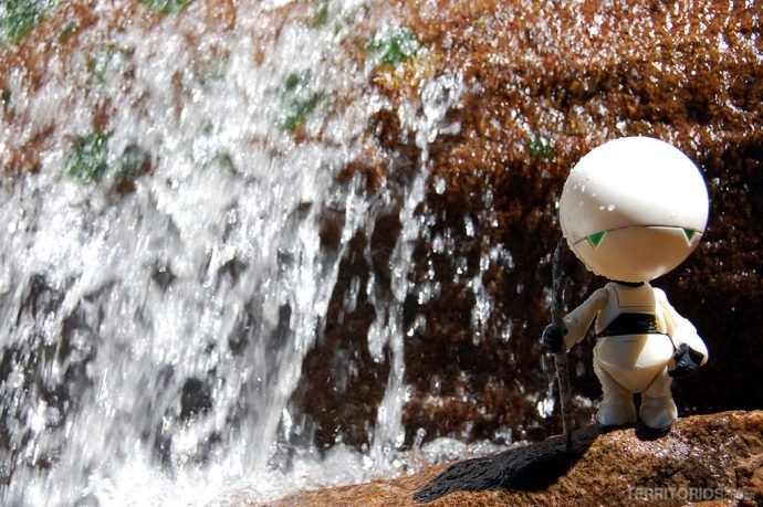 Marvin no Vale do Pati Marvin no Vale do Pati