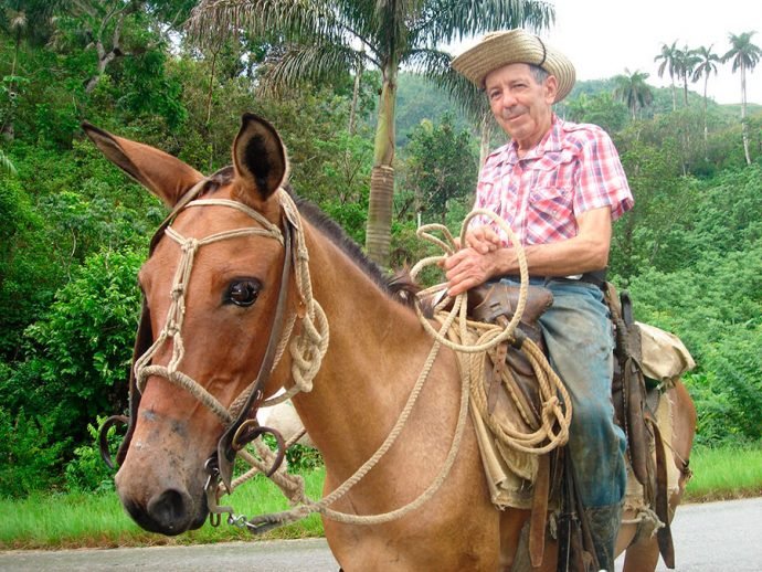 Um gaúcho cubano, ou melhor, um guajiro