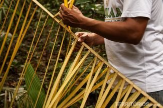 Trilha na selva com aula sobre os diversos usos da palha Trilha na selva com aula sobre os diversos usos da palha