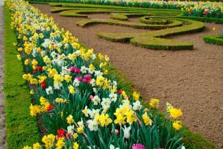 Flores no Jardim de Versailles Flores no Jardim de Versailles