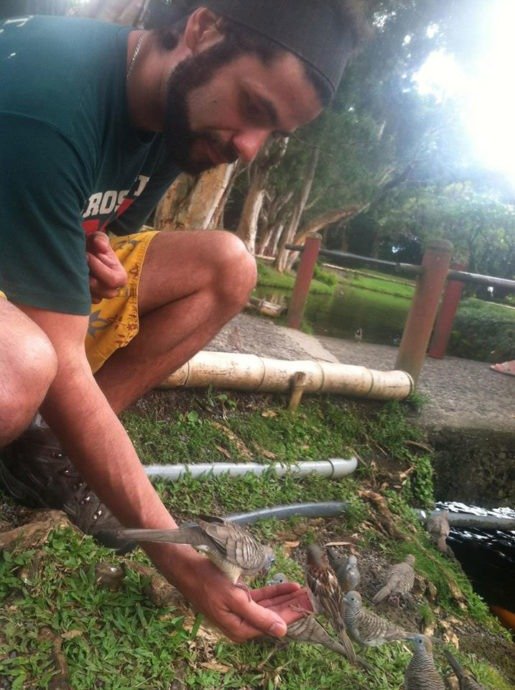 Alimentando pássaros num monastério em Oahu Alimentando pássaros num monastério em Oahu