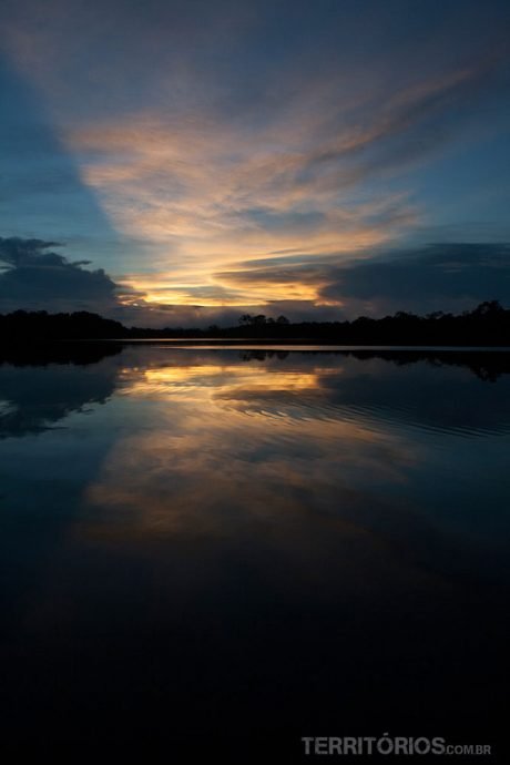Reflexo nas águas do rio Juma Reflexo nas águas do rio Juma