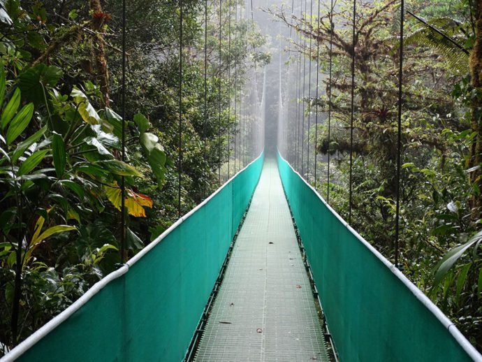Ponte suspensa nas copas das árvores no Sky Adventure