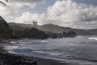 bathsheba