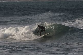 Surfista