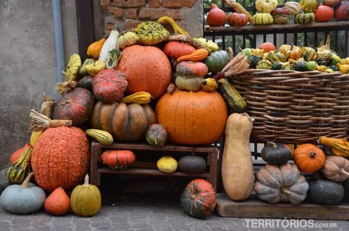 Viajar em outubro para Europa é período de aproveitar a gastronomia