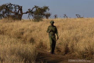 Lewa Wildlife Conservancy - Quênia Lewa Wildlife Conservancy - Quênia