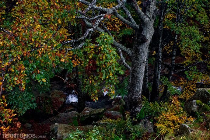O que deu para ver do Parco Corno Alle Scale