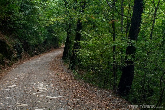 Estrada nos Apeninos no outono