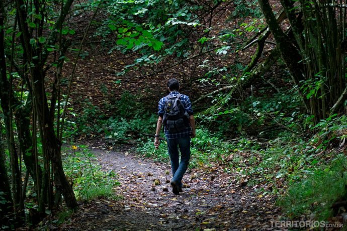 Trilha no bosque no Parco Sassi Di Roccamalatina