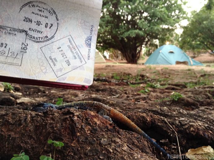 O carimbo de entrada clicado na área de camping no hostel