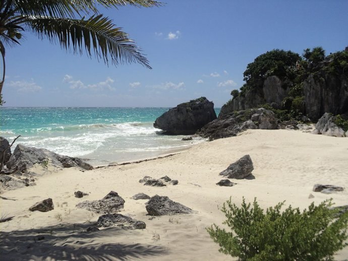 Berçário de tartarugas