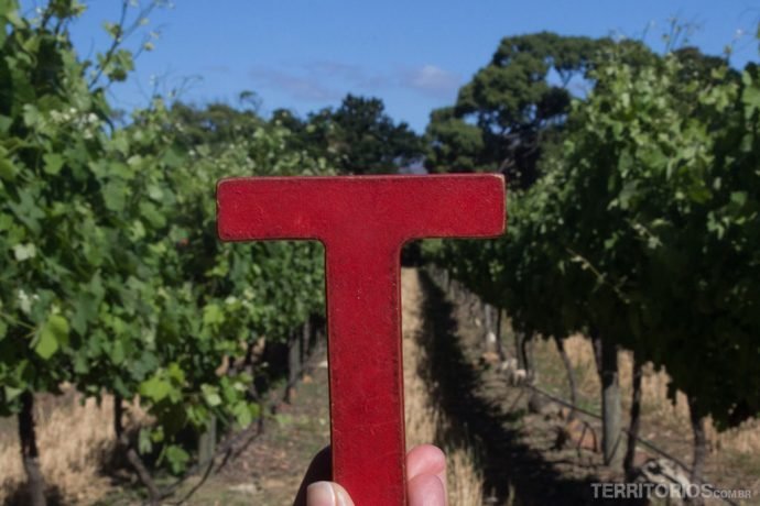 Stellenbosch - África do Sul