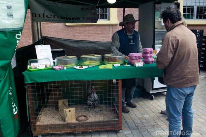 Banca do Mercati della Terra