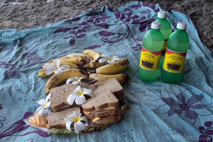 Piquenique em Crane Beach com a melhor Ginger Beer de lá
