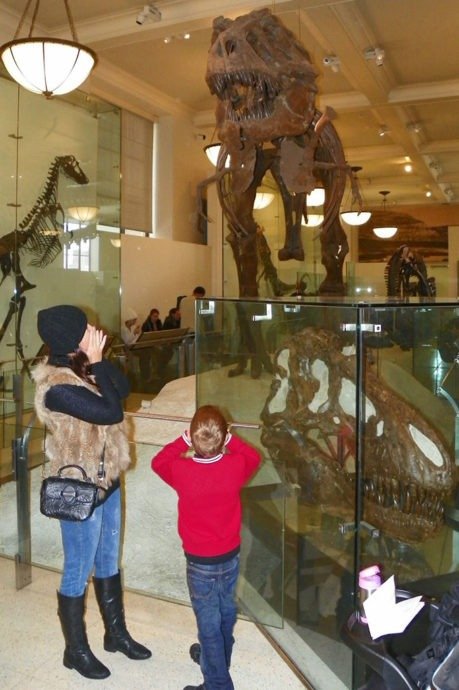 Esqueleto de um REX no Museu Americano de História Natural Esqueleto de um REX no Museu Americano de História Natural