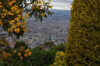 Bogotá Bogotá