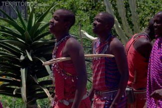 Maasais trabalham com suas roupas tradicionais e auxiliam os hóspedes Maasais trabalham com suas roupas tradicionais e auxiliam os hóspedes