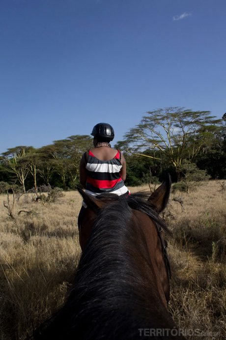Safari a cavalo Safari a cavalo